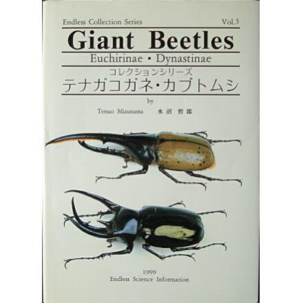 販売買取Giant Beetles　テナガコガネ カブトムシ 水沼哲郎 人文
